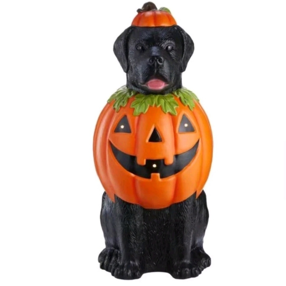 Black Lab Halloween Pumpkin LED New For 2025